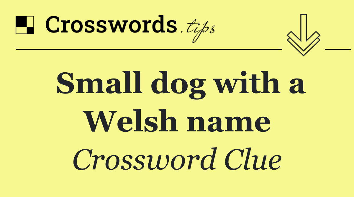 Small dog with a Welsh name