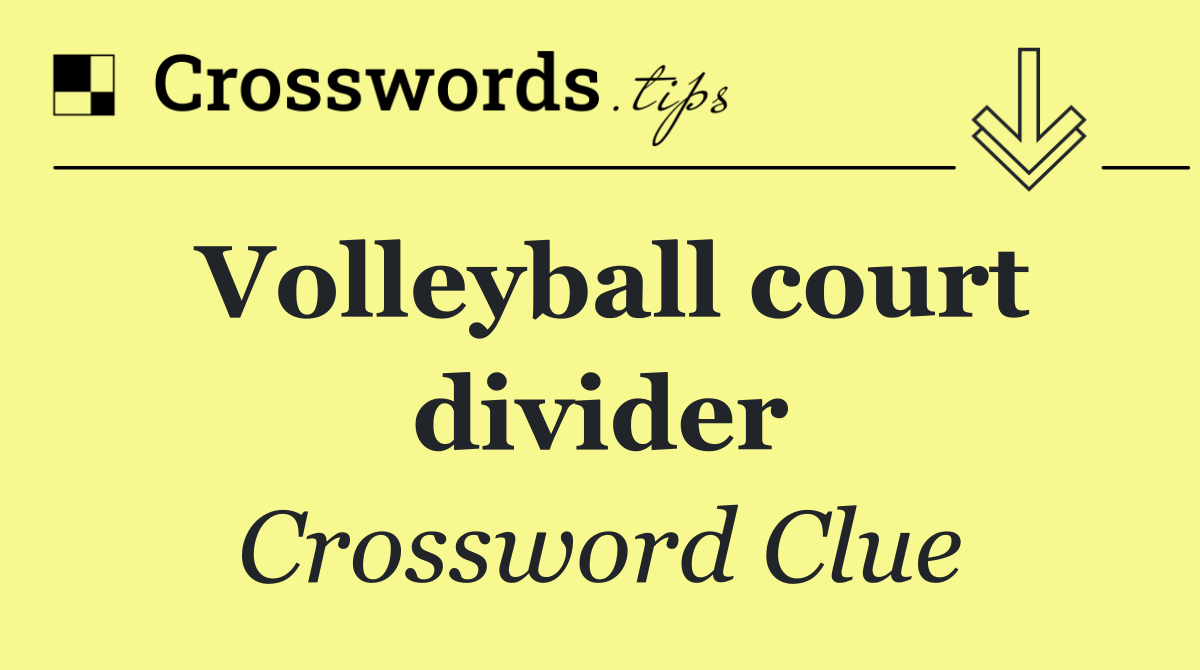 Volleyball court divider