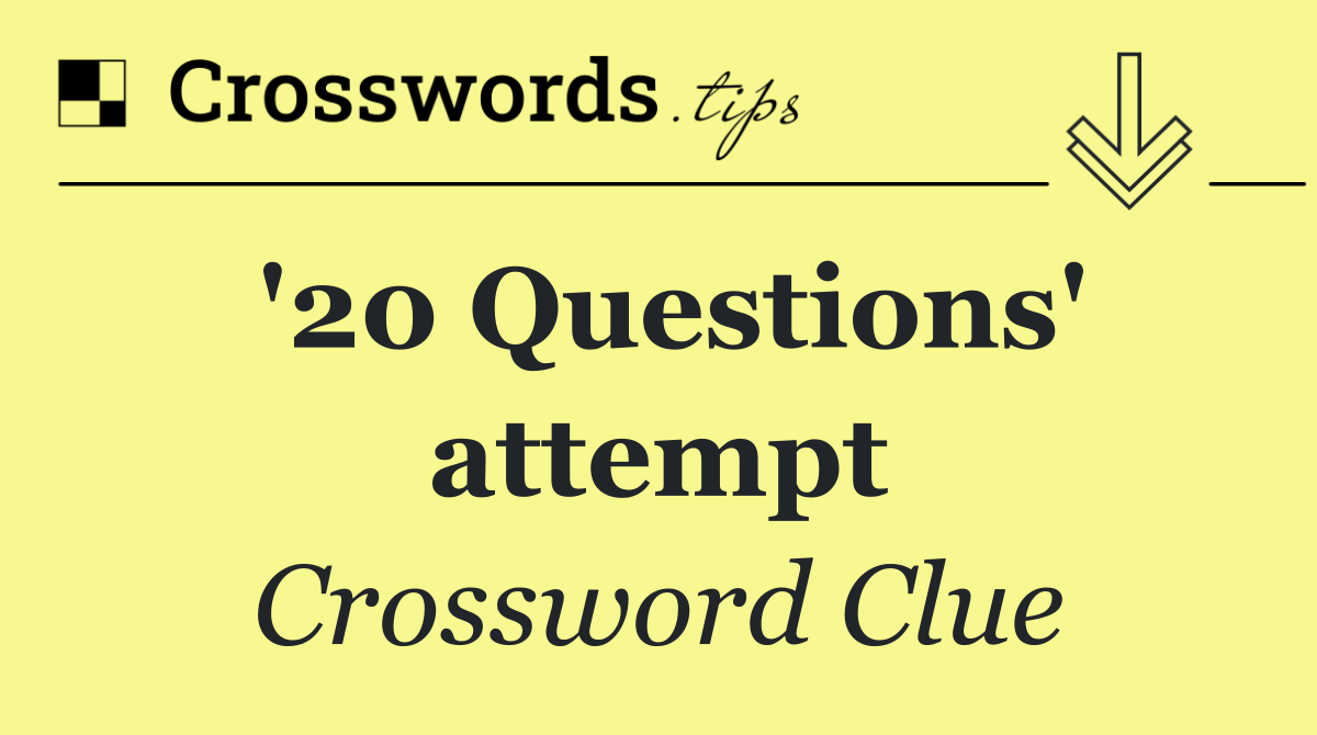 '20 Questions' attempt