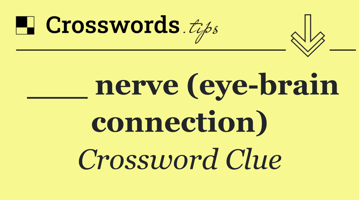 ___ nerve (eye brain connection)