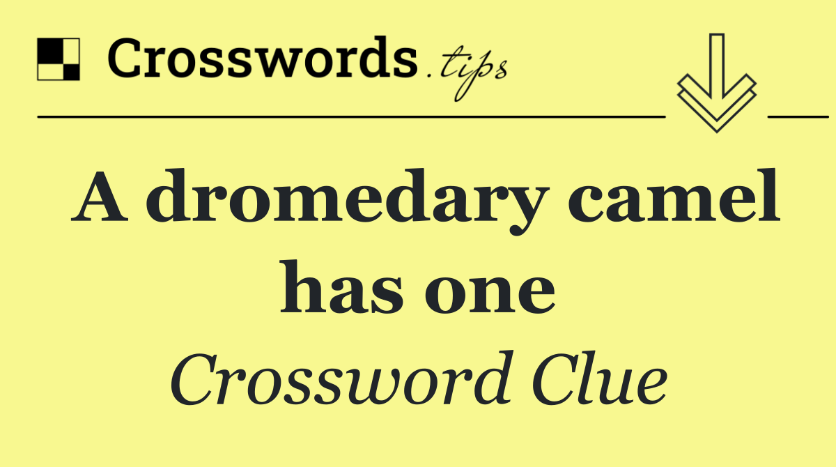 A dromedary camel has one