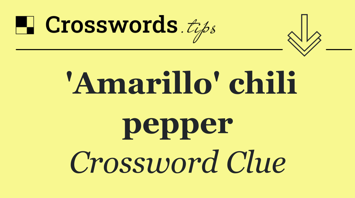 'Amarillo' chili pepper