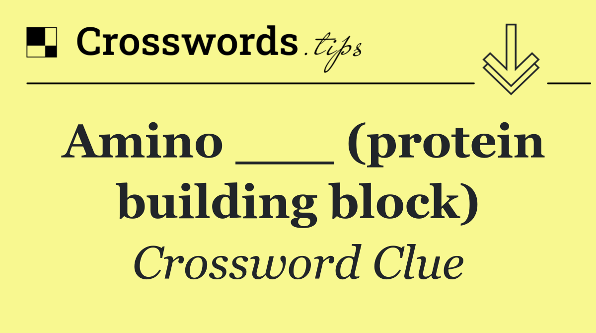 Amino ___ (protein building block)