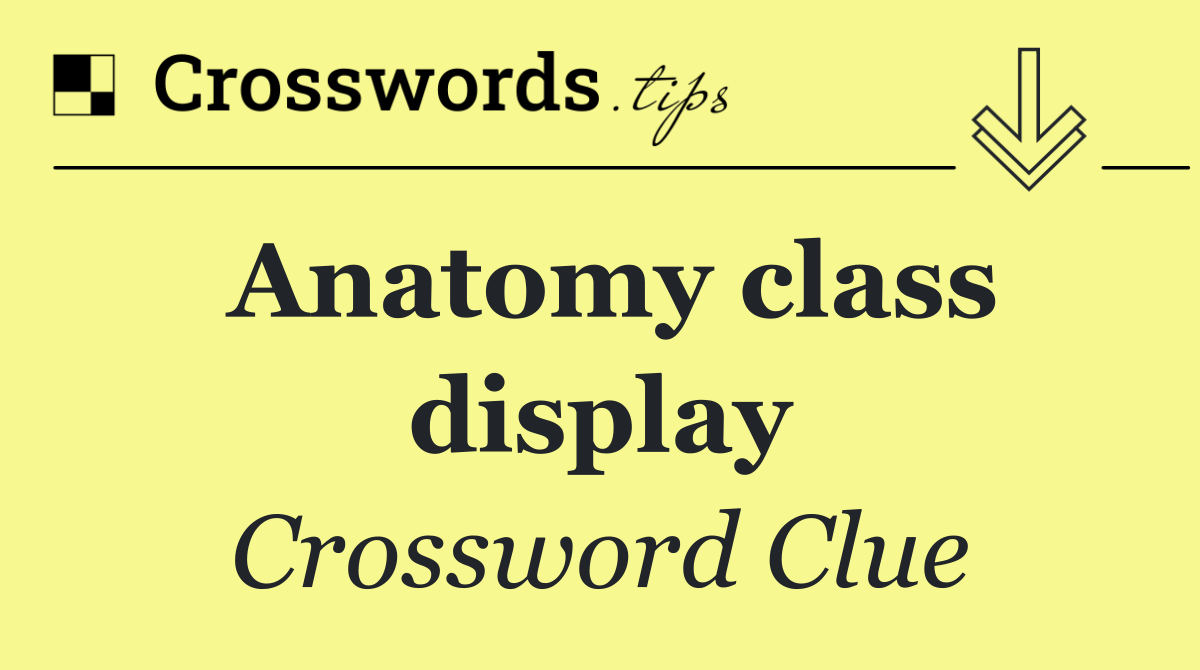 Anatomy class display