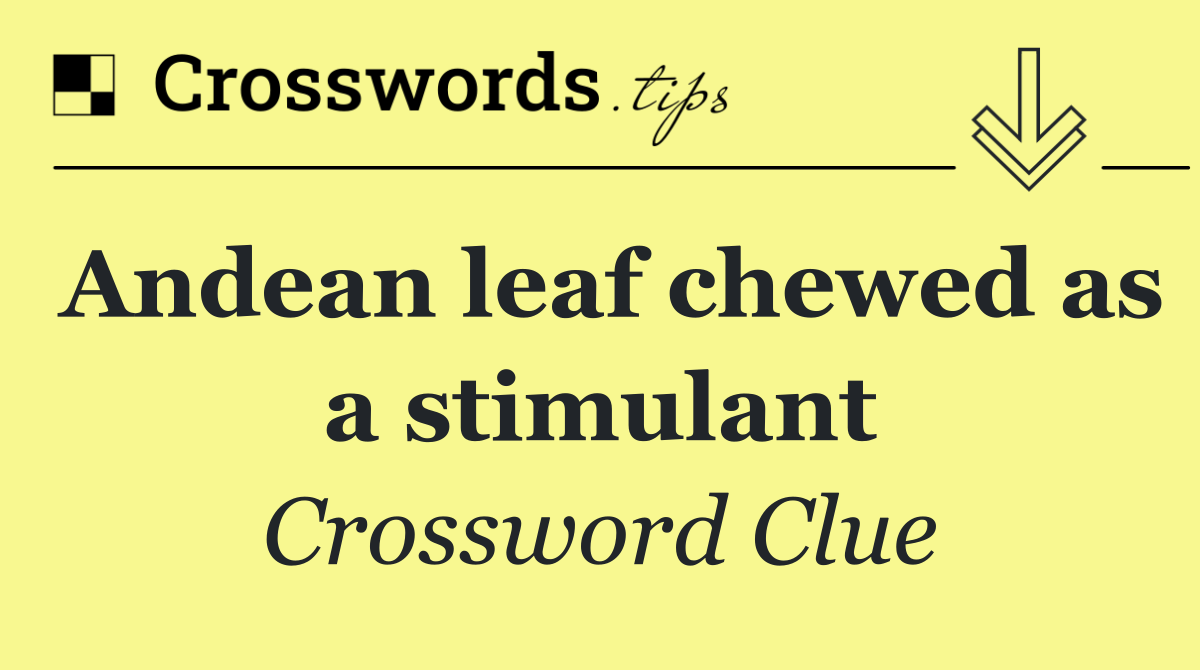 Andean leaf chewed as a stimulant