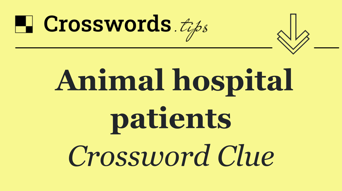 Animal hospital patients
