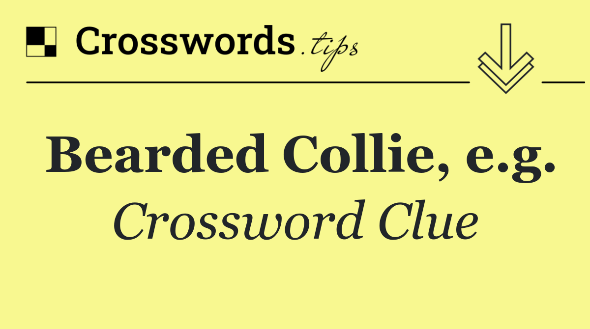 Bearded Collie, e.g.