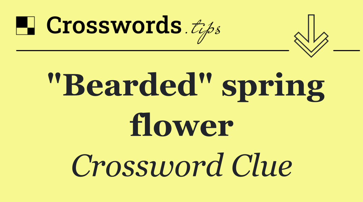 "Bearded" spring flower