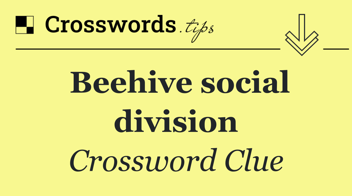 Beehive social division