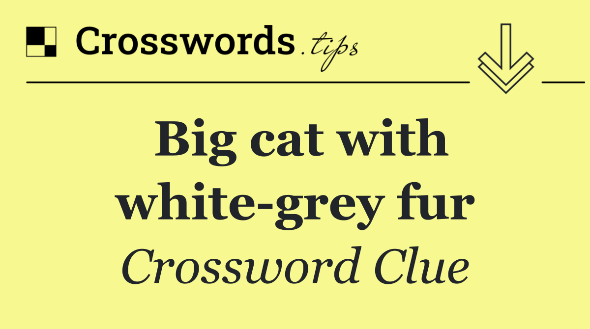 Big cat with white grey fur