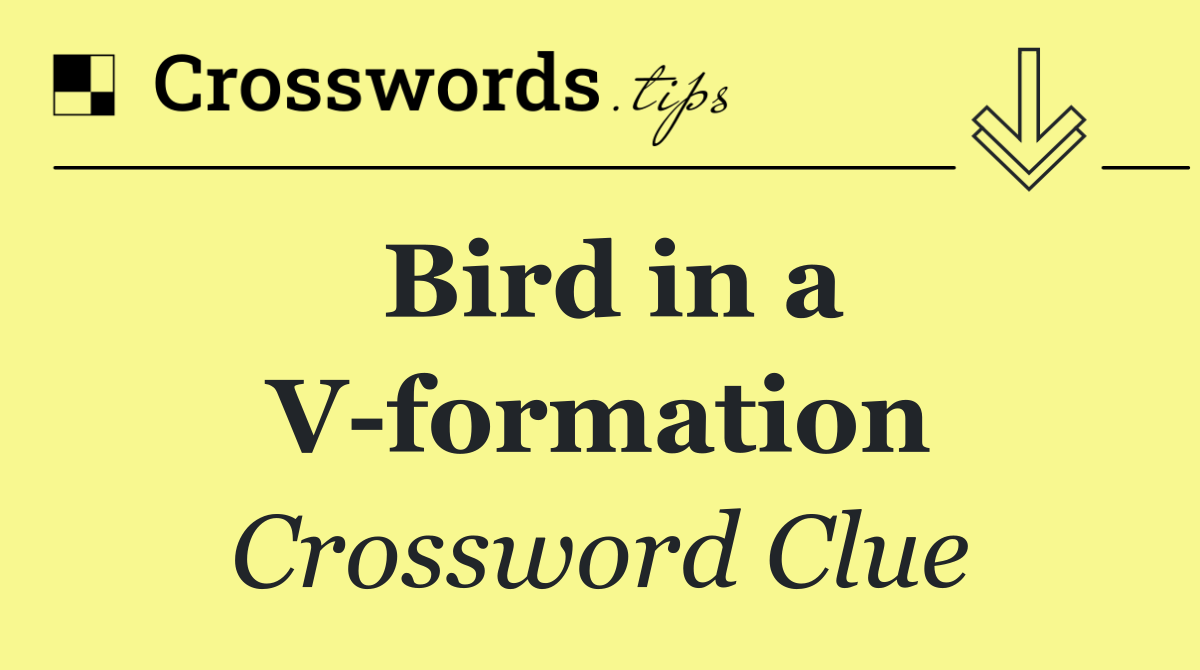 Bird in a V formation