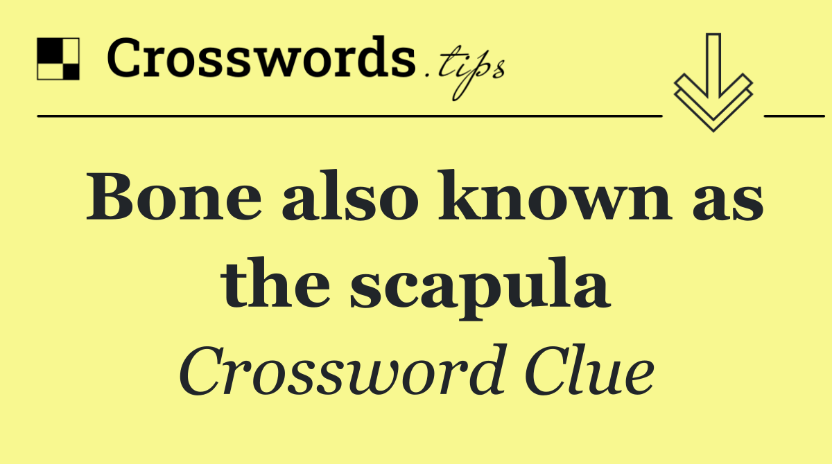Bone also known as the scapula