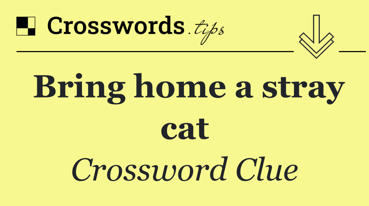 Bring home a stray cat