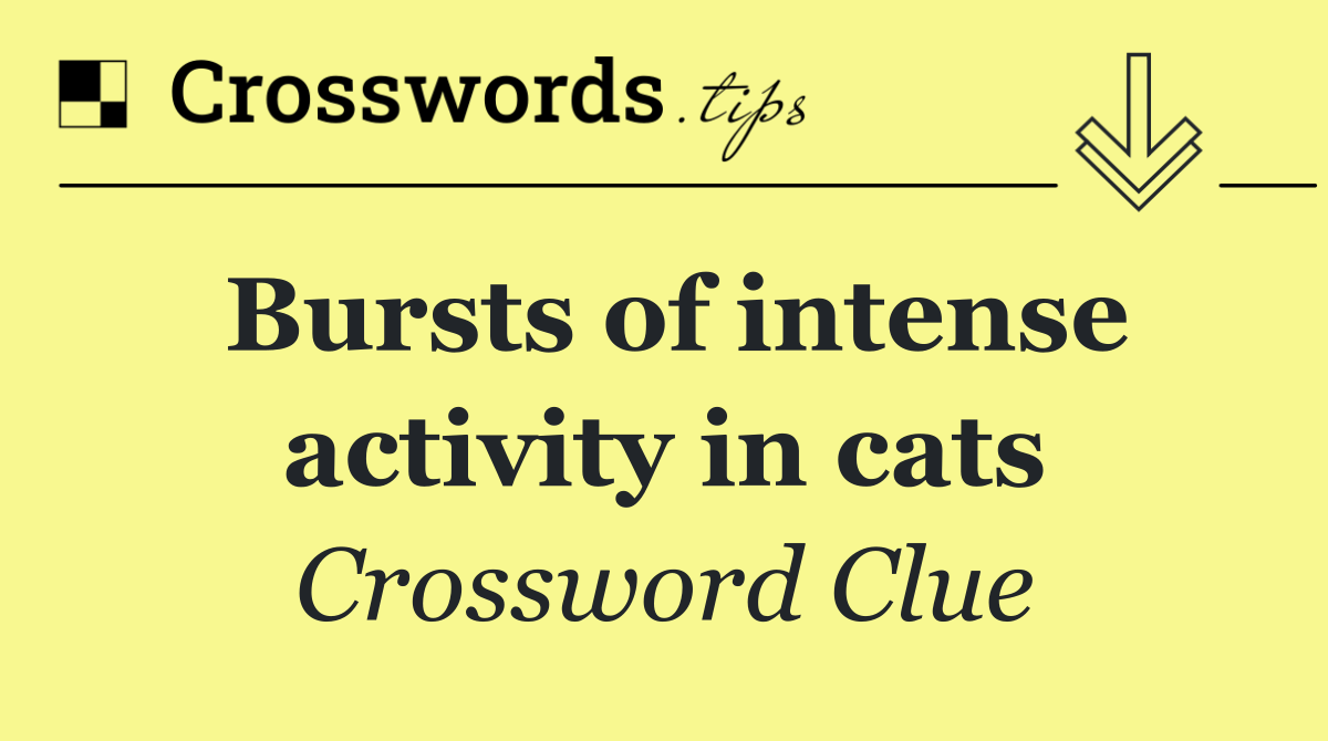 Bursts of intense activity in cats