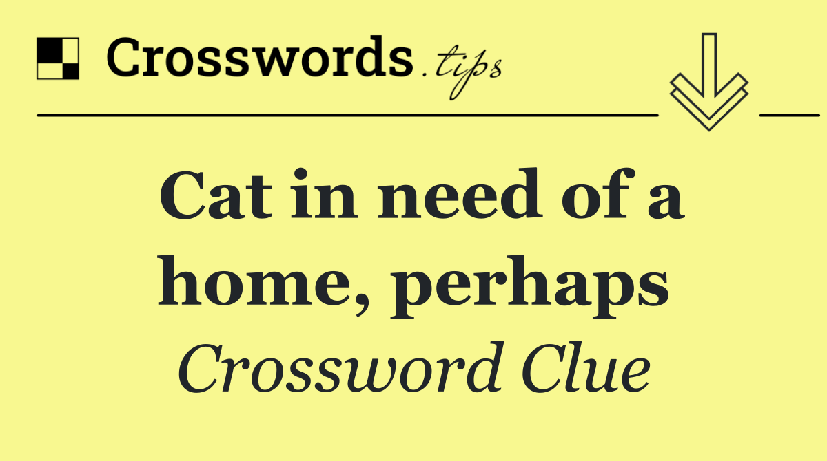 Cat in need of a home, perhaps