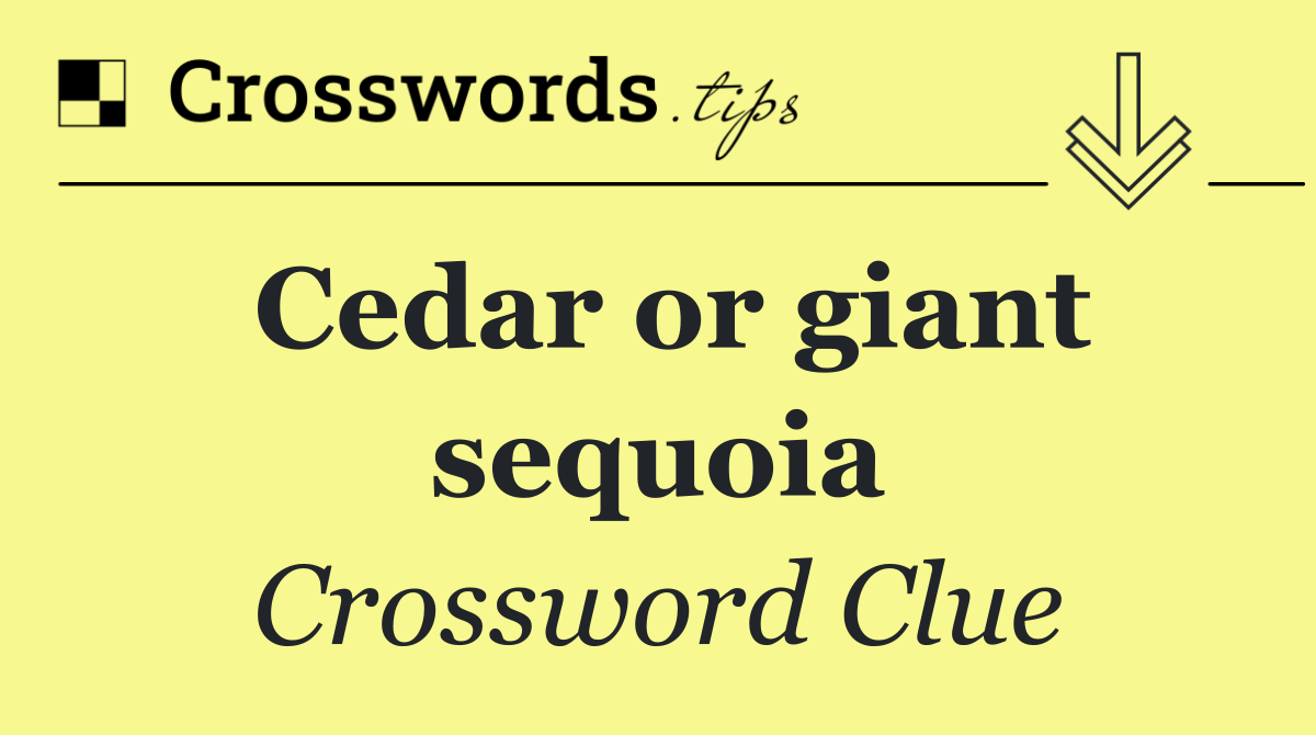 Cedar or giant sequoia