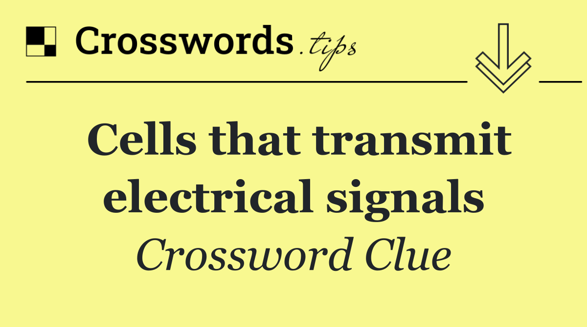 Cells that transmit electrical signals