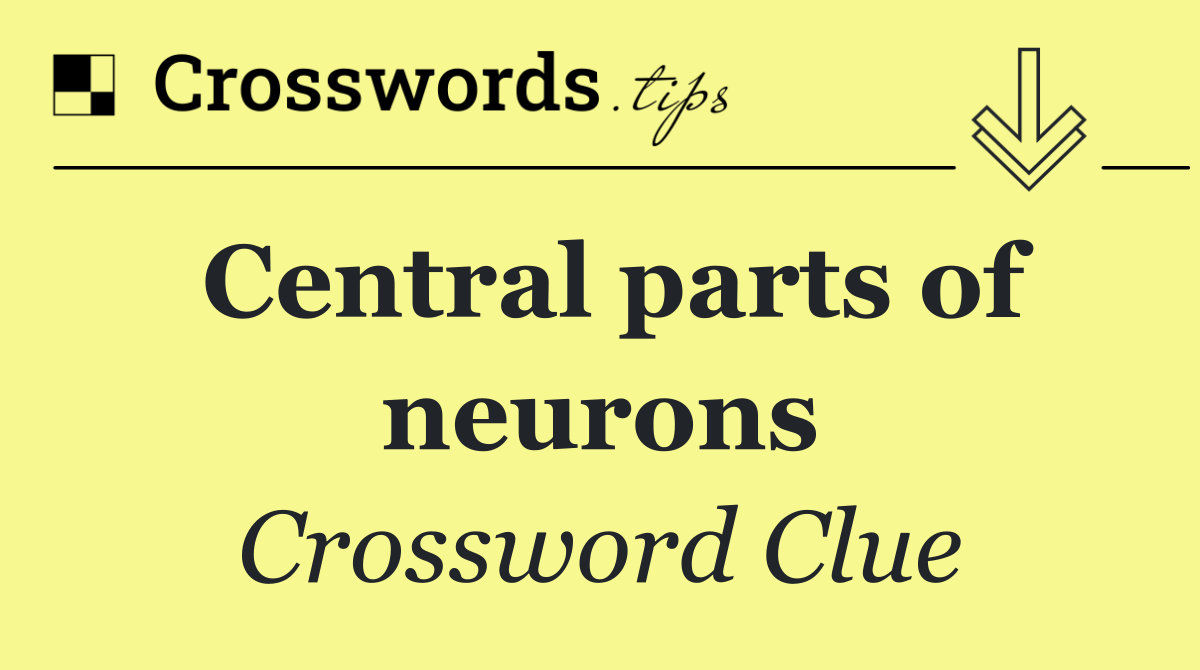 Central parts of neurons