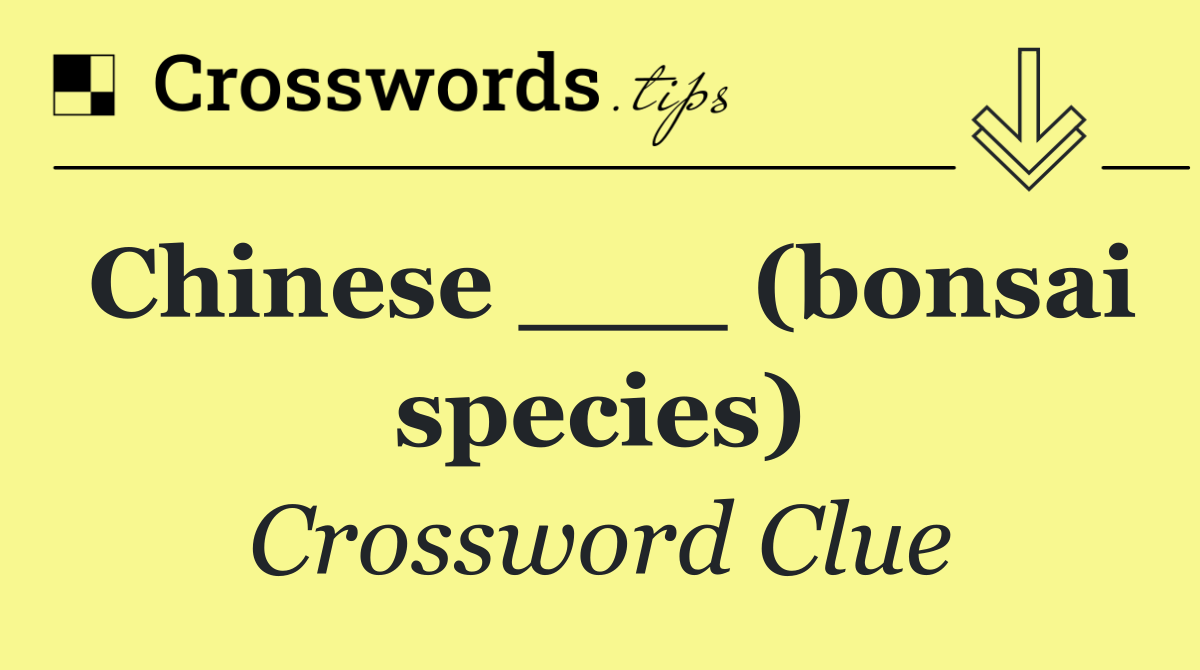 Chinese ___ (bonsai species)