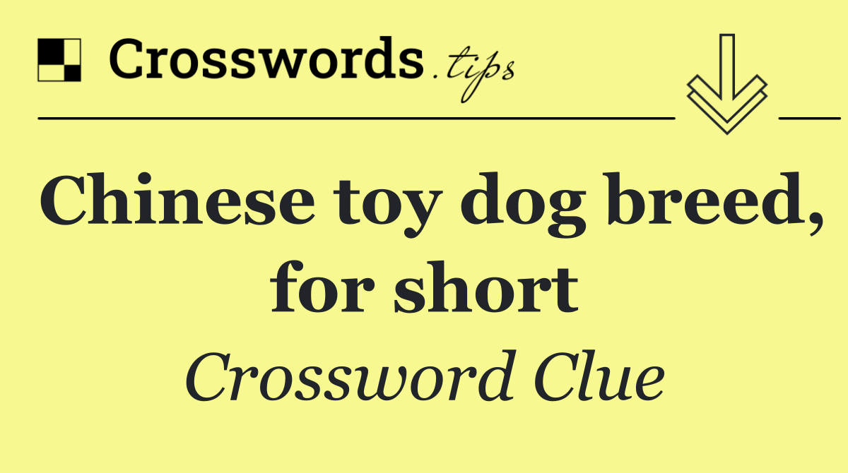 Chinese toy dog breed, for short