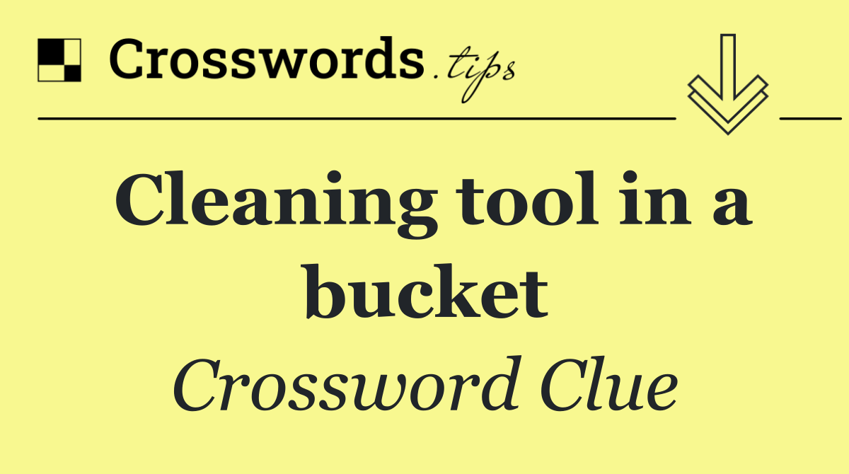 Cleaning tool in a bucket
