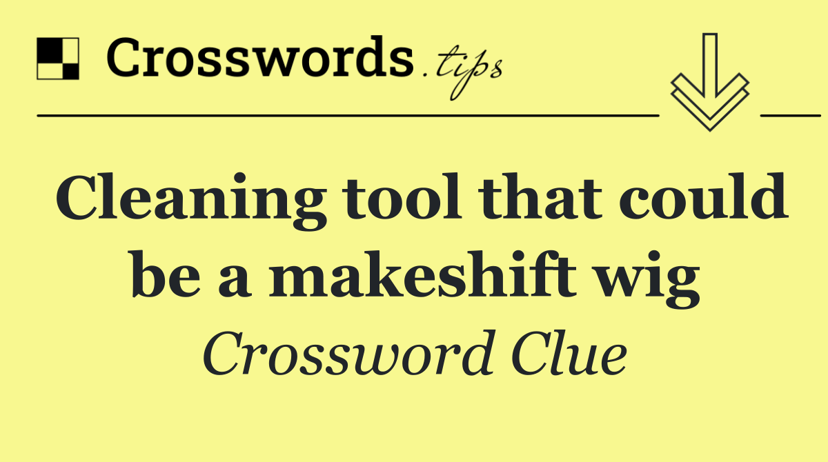 Cleaning tool that could be a makeshift wig