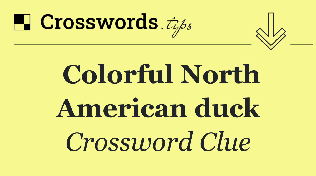 Colorful North American duck