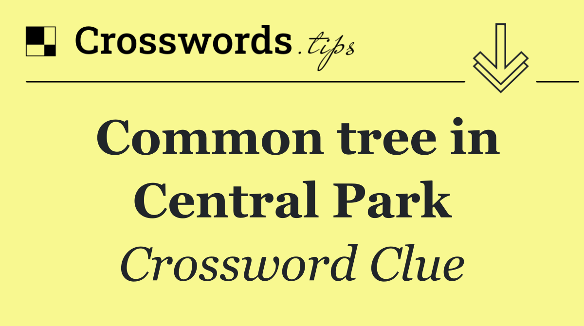 Common tree in Central Park