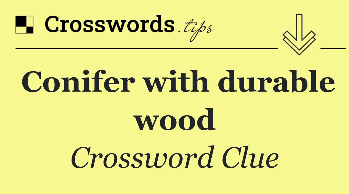 Conifer with durable wood