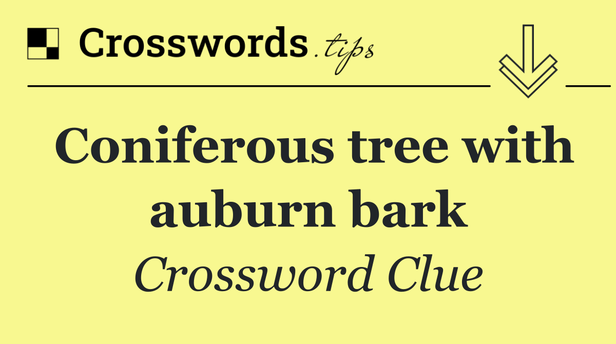 Coniferous tree with auburn bark