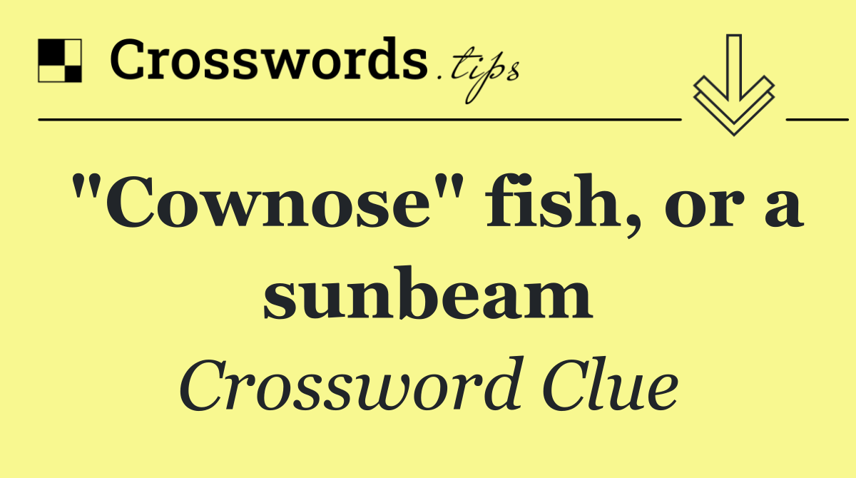 "Cownose" fish, or a sunbeam