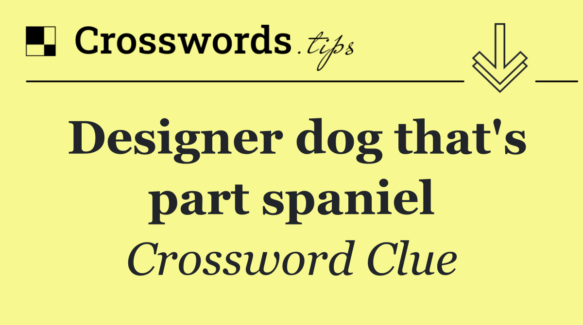Designer dog that's part spaniel