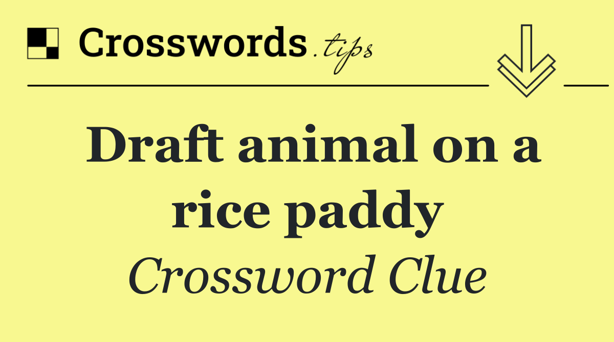 Draft animal on a rice paddy