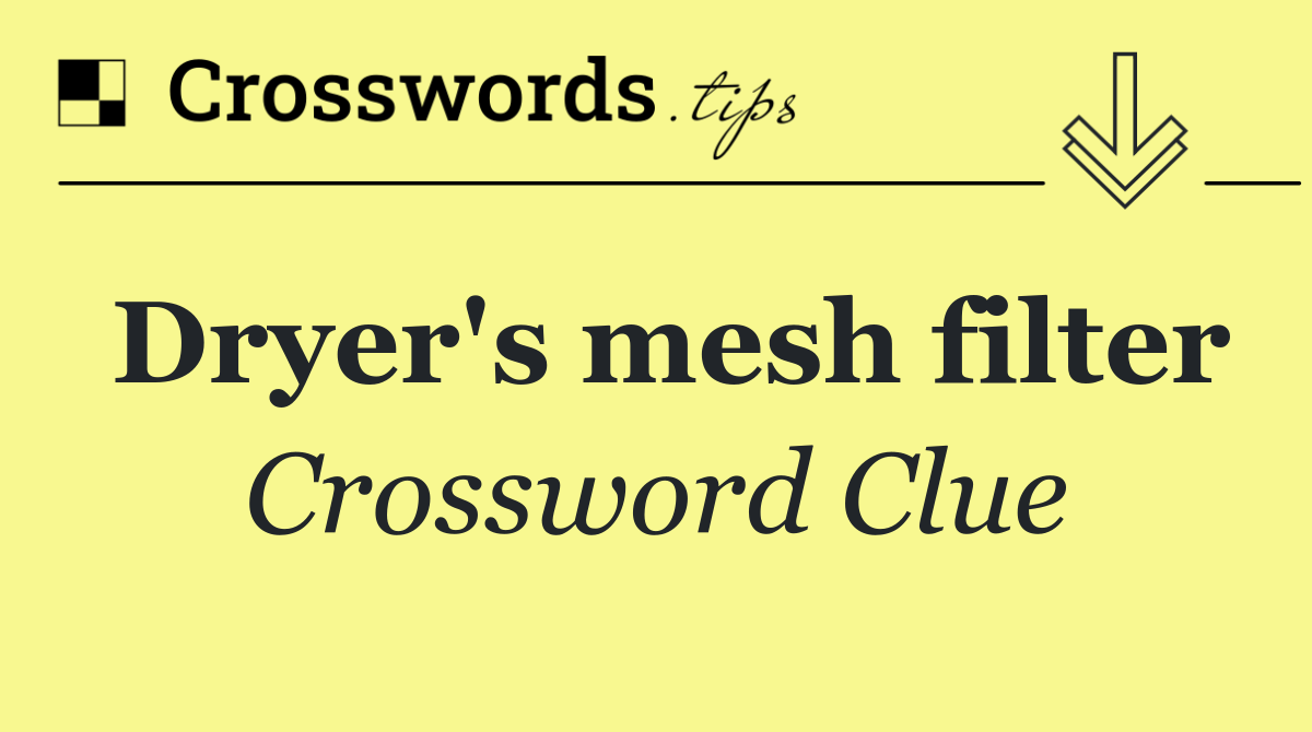 Dryer's mesh filter