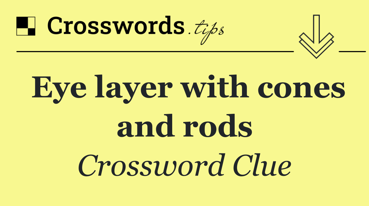 Eye layer with cones and rods