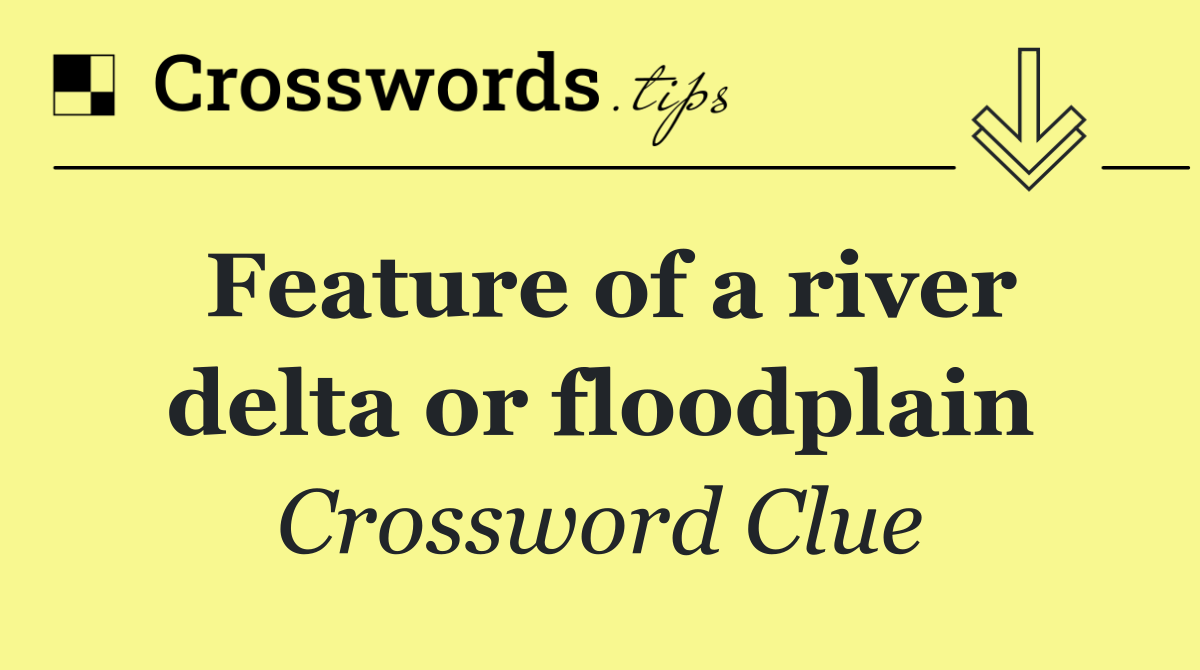 Feature of a river delta or floodplain