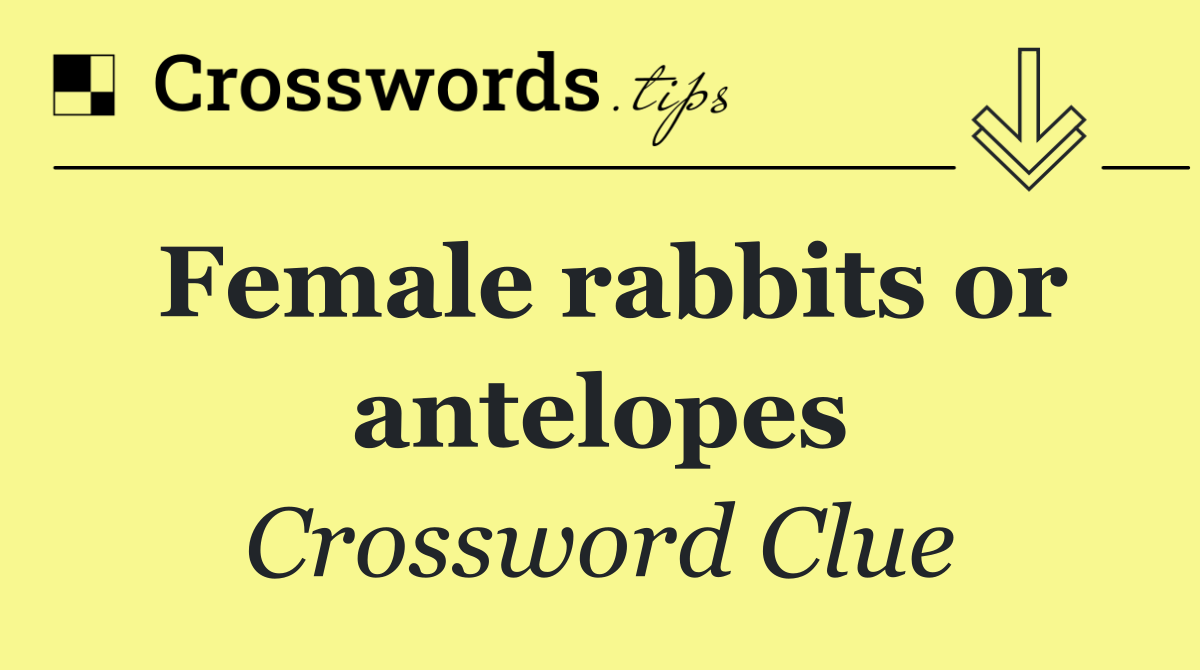 Female rabbits or antelopes