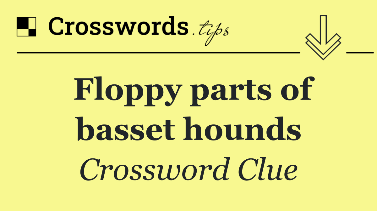 Floppy parts of basset hounds