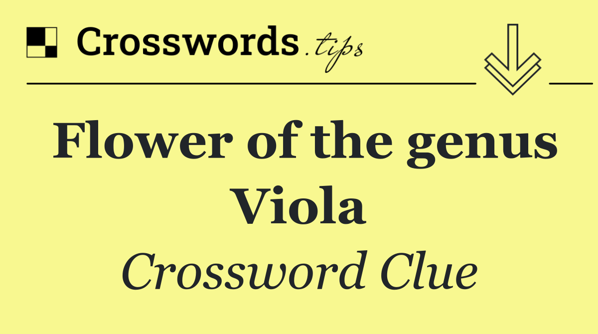 Flower of the genus Viola