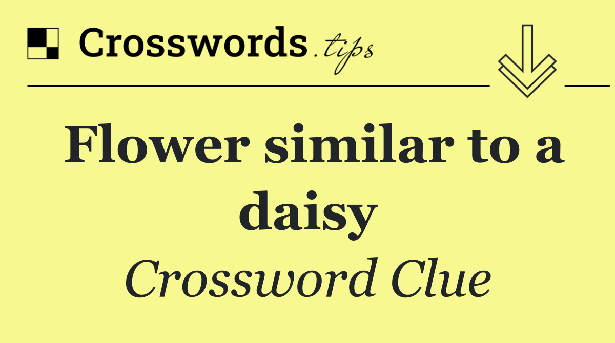 Flower similar to a daisy