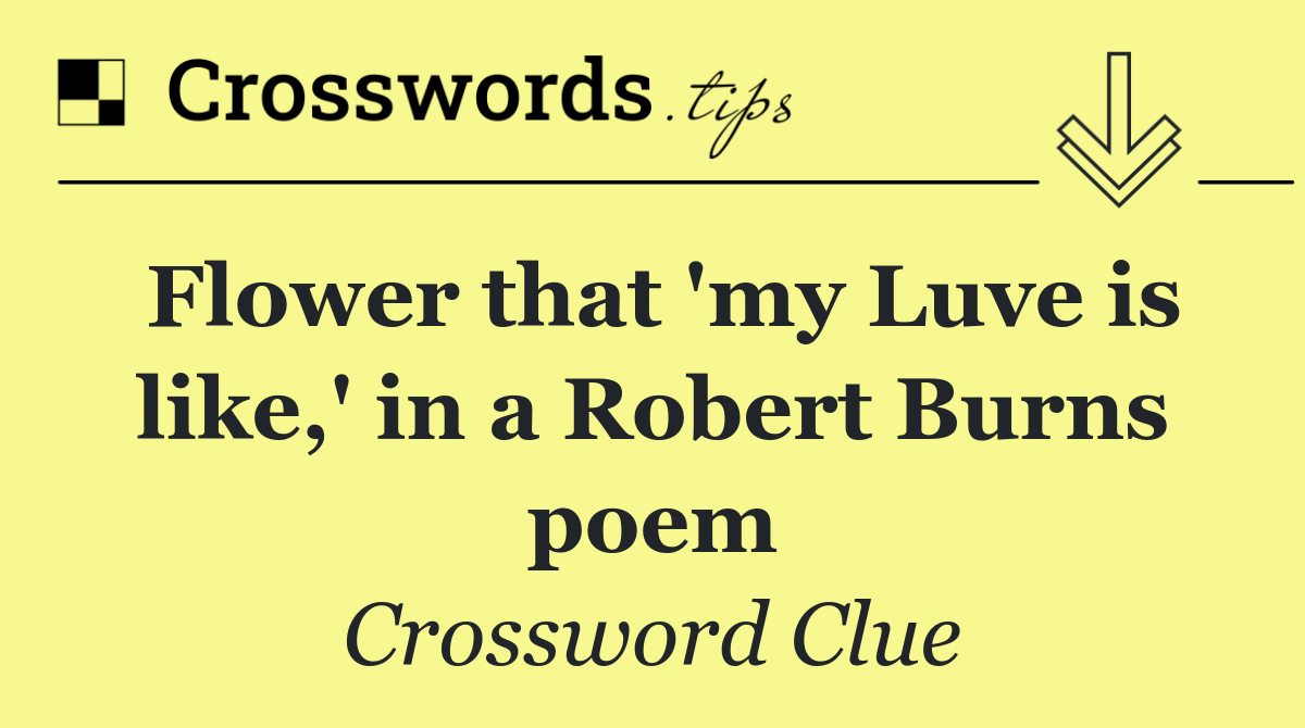 Flower that 'my Luve is like,' in a Robert Burns poem