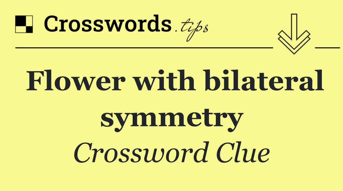 Flower with bilateral symmetry