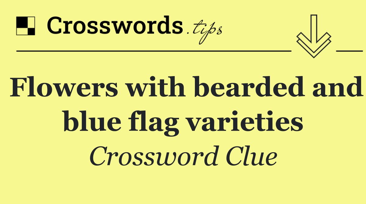 Flowers with bearded and blue flag varieties Crossword Clue Answer
