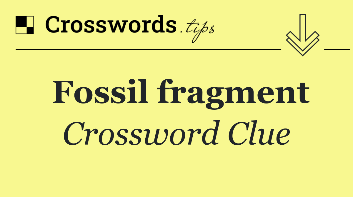 Fossil fragment