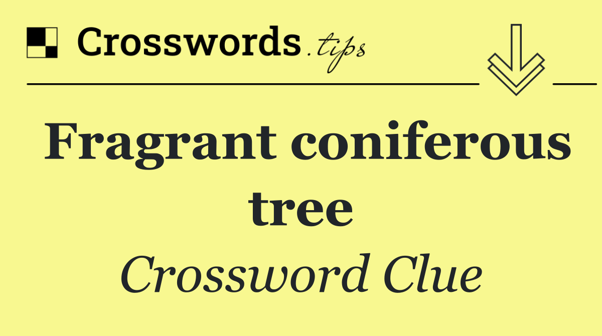 Fragrant coniferous tree