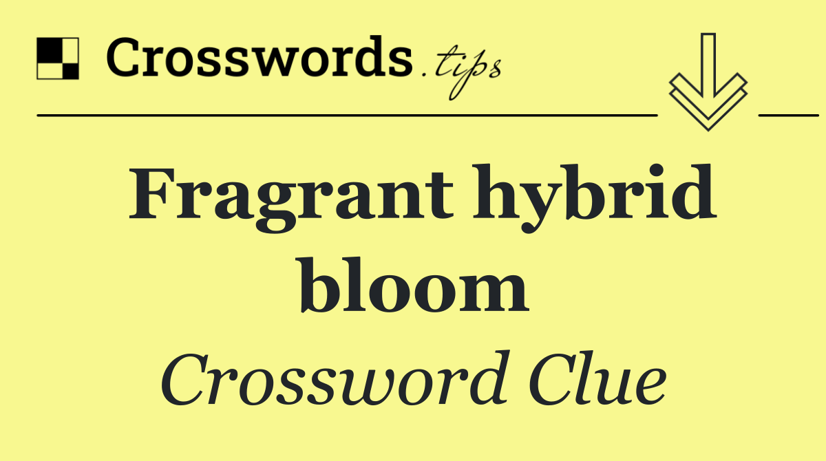 Fragrant hybrid bloom