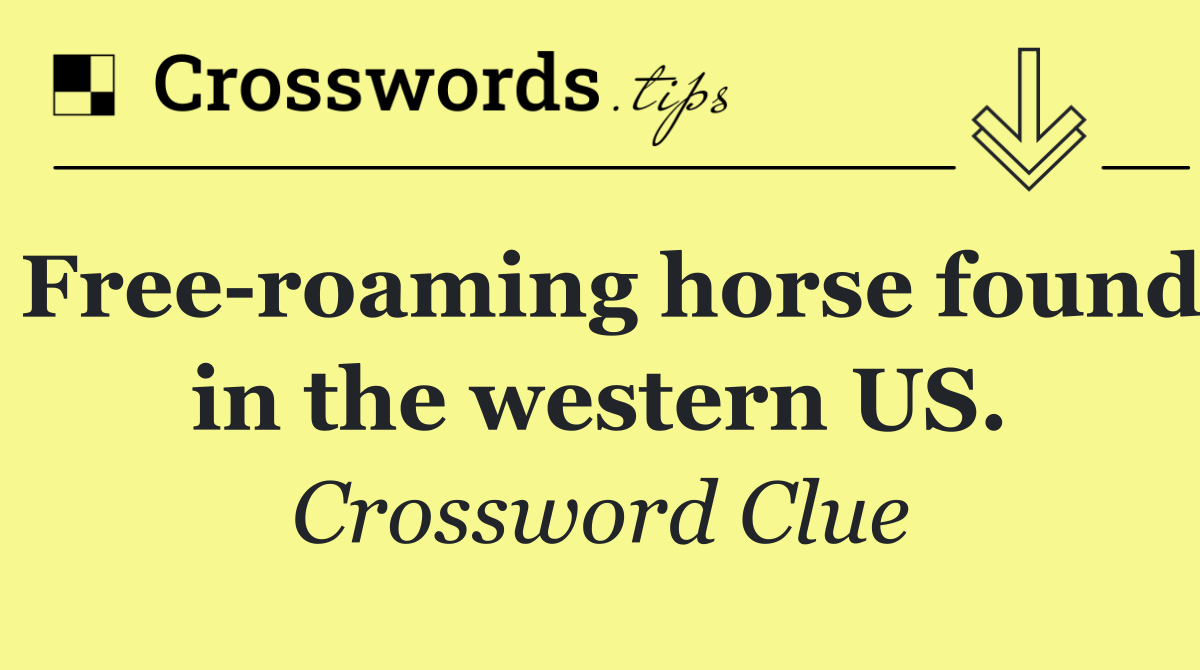 Free roaming horse found in the western US.