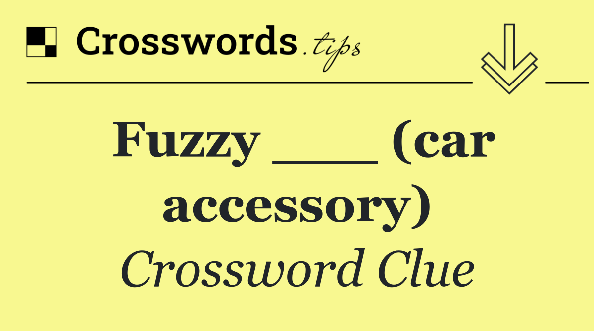 Fuzzy ___ (car accessory)