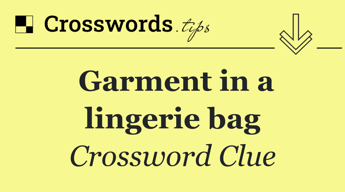 Garment in a lingerie bag