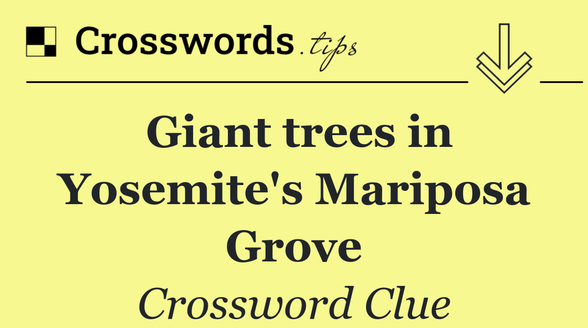 Giant trees in Yosemite's Mariposa Grove
